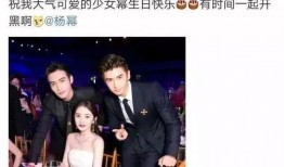 娱乐圈吃瓜爆料刘恺威,揭秘背后的真相与传闻