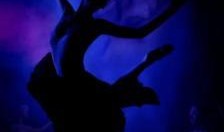 独舞天鹅爆料视频,视频背后惊人真相曝光